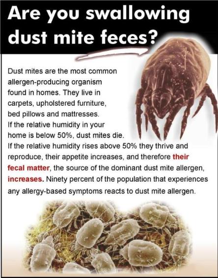 PureGuard - Dust Mite Buster!