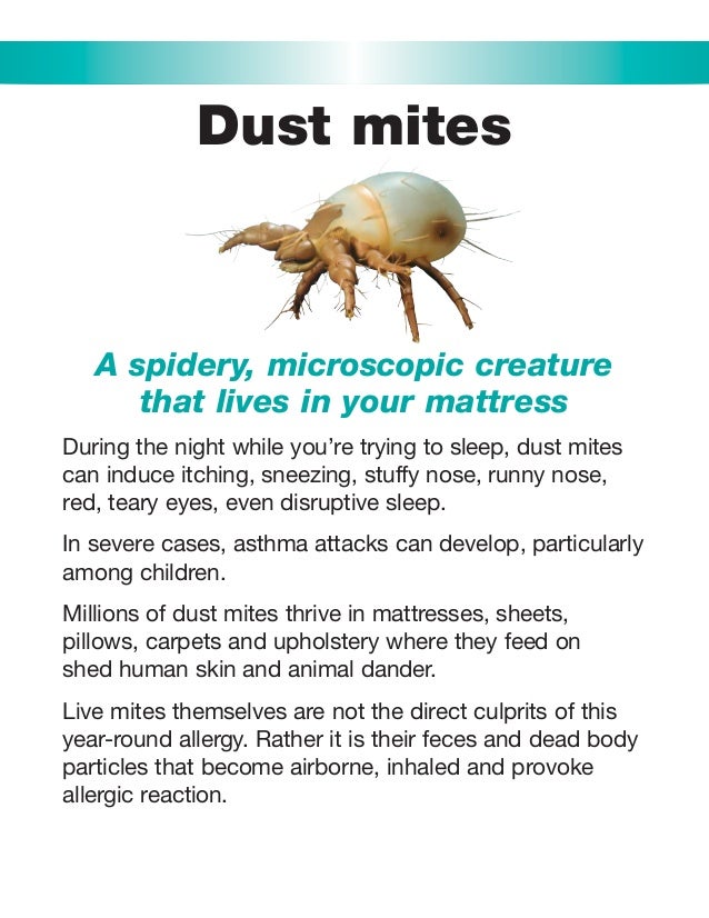 PureGuard - Dust Mite Buster!