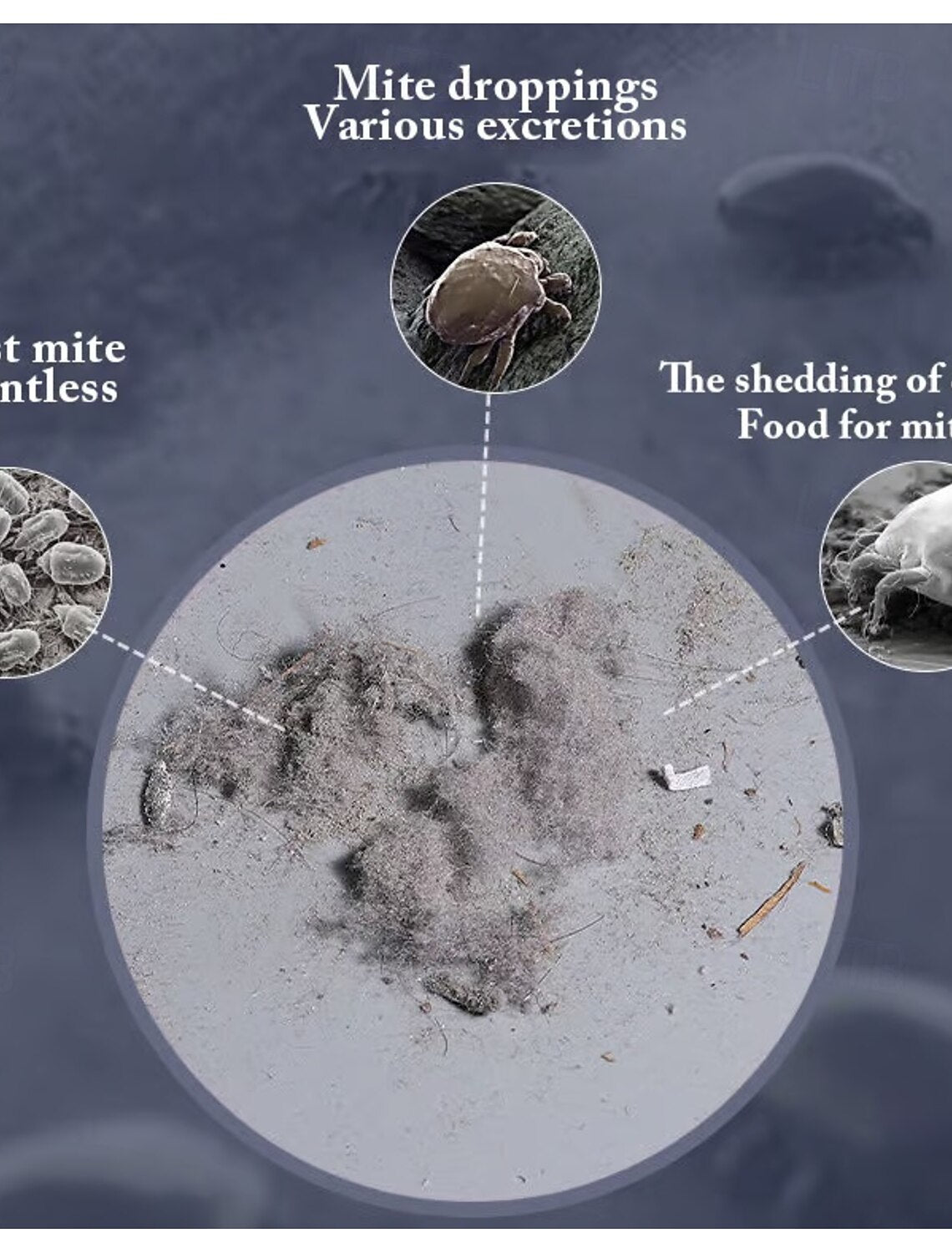 PureGuard - Dust Mite Buster!