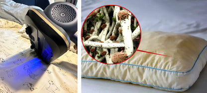 PureGuard - Dust Mite Buster!